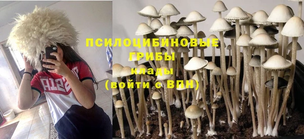 кристаллы Алексин
