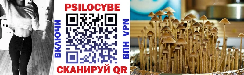 Галлюциногенные грибы Cubensis Агрыз